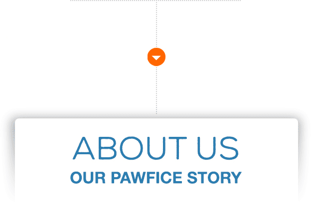 about us our pawfice story